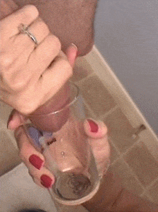 Schwanz-Entsamung (Milking) in ein Glas